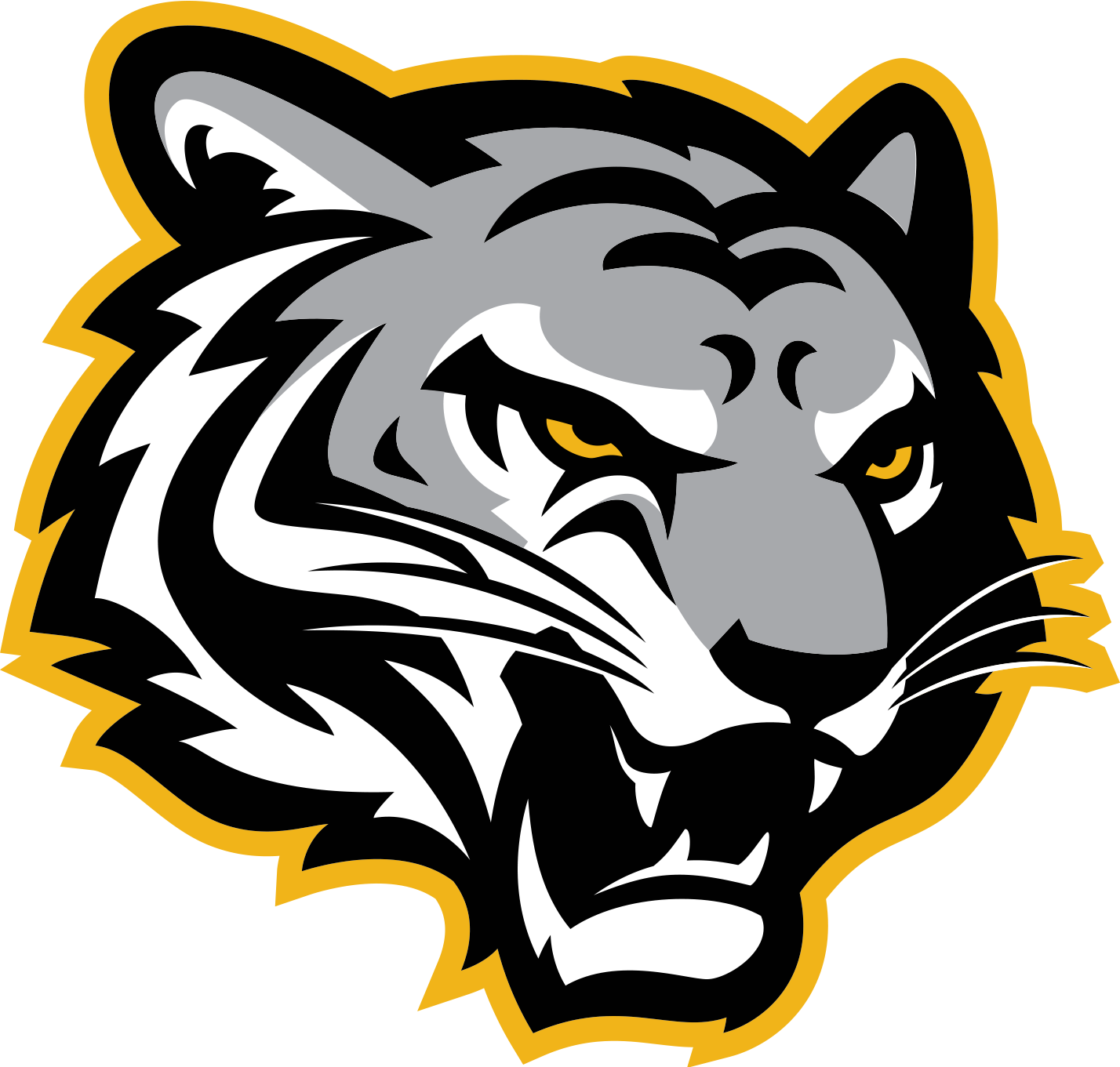 Stoney Creek Tigers